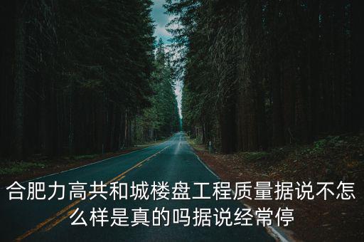 合肥力高共和城樓盤工程質量據說不怎么樣是真的嗎據說經常停