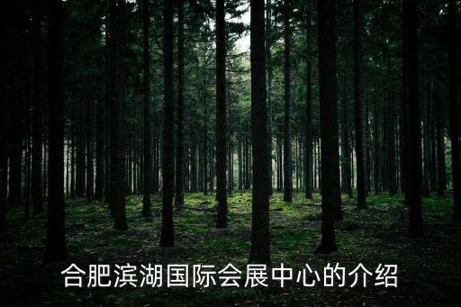 合肥會展中心，合肥市濱湖新區廬州大道與錦繡大道交口西南角的 合肥新會展中心在