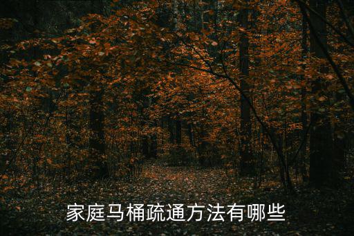 家庭馬桶疏通，家用馬桶疏通有什么方法