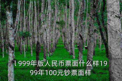 l 999年版人民幣票面什么樣1999年100元鈔票面樣