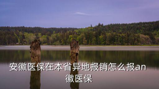 安徽醫(yī)保在本省異地報(bào)銷怎么報(bào)an 徽醫(yī)保