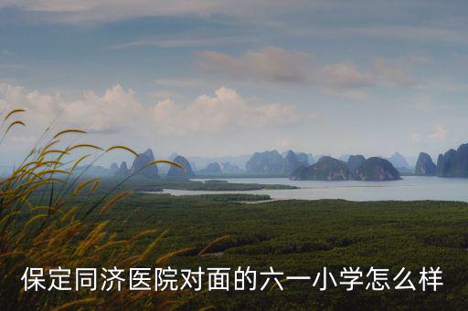 保定同濟醫院對面的六一小學怎么樣