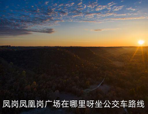 鳳凰崗，深圳市寶安區鳳凰崗有什么好玩的地方嗎