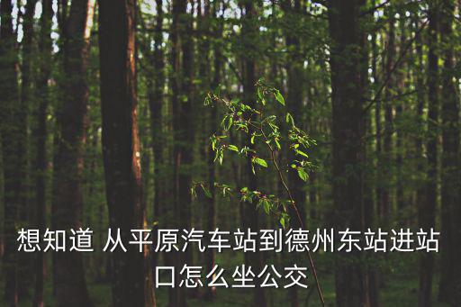 想知道 從平原汽車站到德州東站進站口怎么坐公交