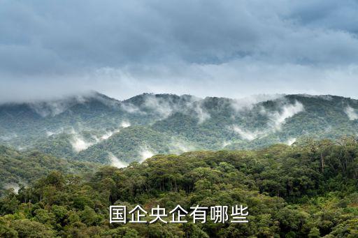 中央企業(yè)，現(xiàn)在的159個國家中央企業(yè)都有哪些