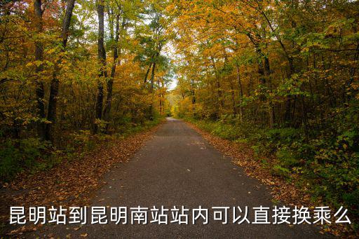 昆明站到昆明南站，從昆明火車站到昆明南站怎么買票
