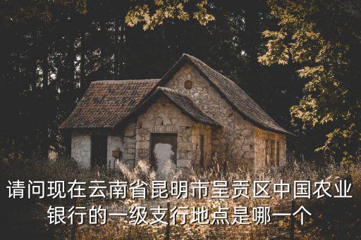 請問現在云南省昆明市呈貢區中國農業銀行的一級支行地點是哪一個
