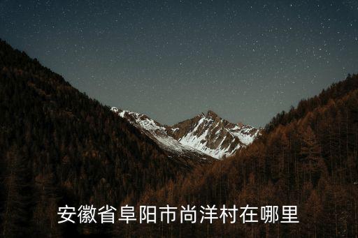 安徽省阜陽市尚洋村在哪里