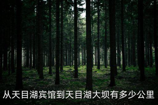 從天目湖賓館到天目湖大壩有多少公里
