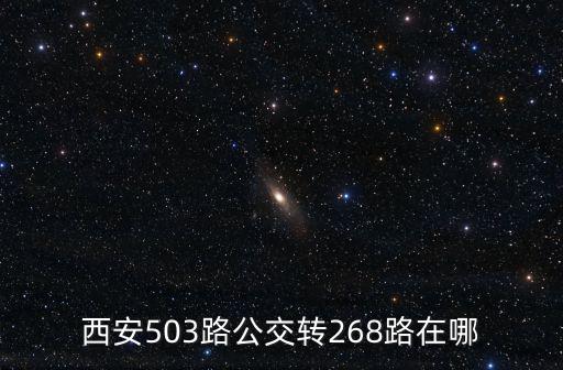 西安503路公交轉(zhuǎn)268路在哪