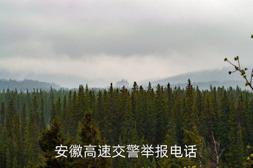 安徽高速交警舉報電話