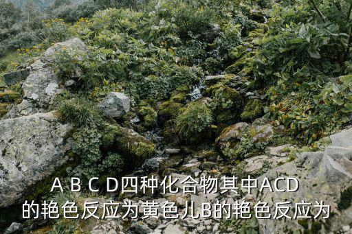 A B C D四種化合物其中ACD的艷色反應為黃色兒B的艷色反應為