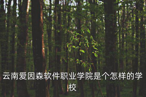云南愛因森軟件職業學院是個怎樣的學校