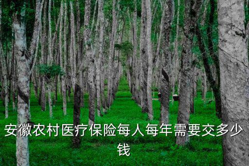 安徽農村醫療保險每人每年需要交多少錢