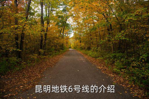 六號線，武漢地鐵6號線的介紹