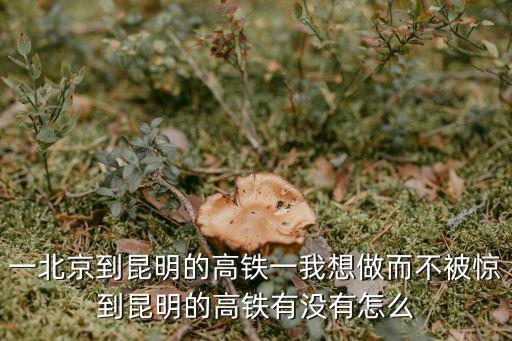 一北京到昆明的高鐵一我想做而不被驚到昆明的高鐵有沒有怎么