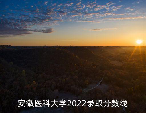 安徽醫(yī)科大學(xué)2022錄取分?jǐn)?shù)線