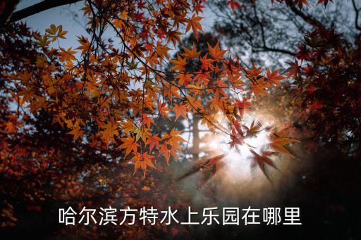 哈爾濱方特水上樂園在哪里