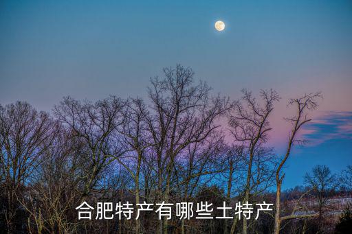 合肥特色，安徽合肥特產有哪些呢