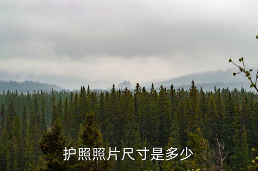 中國護照照片尺寸，護照照片尺寸是多少