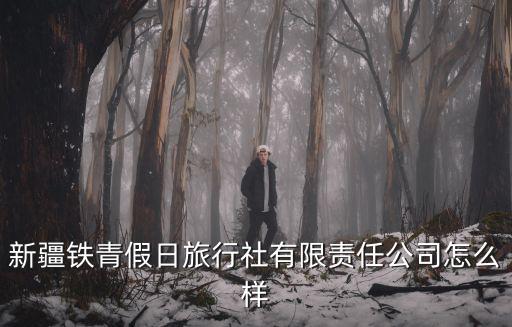新疆鐵青假日旅行社有限責任公司怎么樣