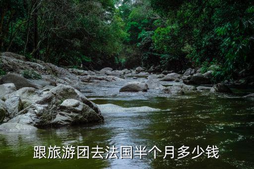 跟旅游團去法國半個月多少錢