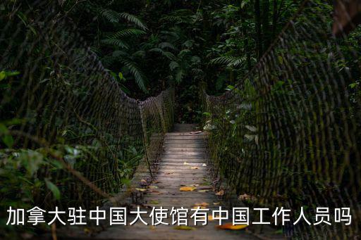 加拿大駐華大使，加拿大駐中國大使館有中國工作人員嗎