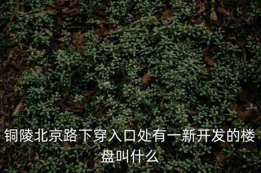 銅陵萬尚雅苑，銅陵北京路下穿入口處有一新開發的樓盤叫什么