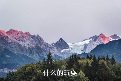 什么的玩耍
