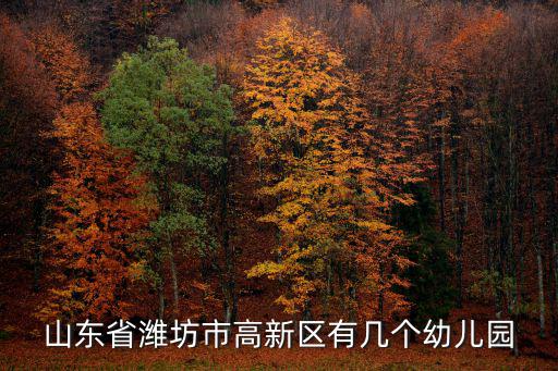 山東省濰坊市高新區(qū)有幾個(gè)幼兒園