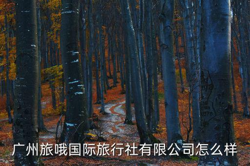 廣州旅哦國際旅行社有限公司怎么樣