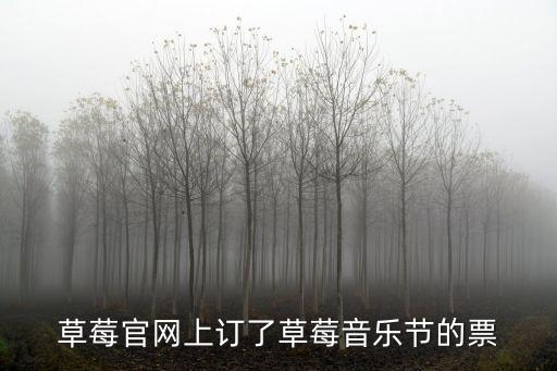 草莓官網(wǎng)上訂了草莓音樂節(jié)的票