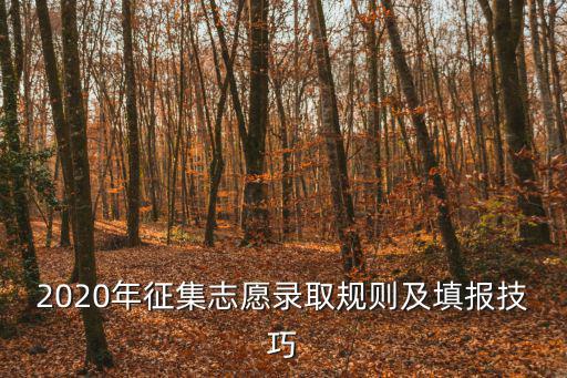 2020年征集志愿錄取規(guī)則及填報(bào)技巧