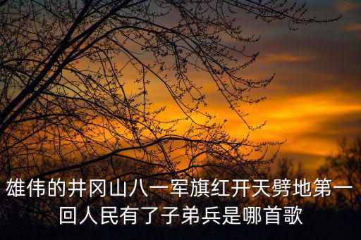 雄偉的井岡山八一軍旗紅開天劈地第一回人民有了子弟兵是哪首歌