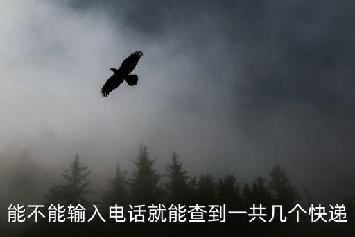 能不能輸入電話就能查到一共幾個快遞