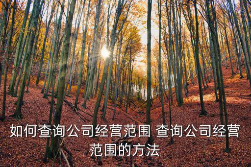 經營范圍查詢，怎么查經營范圍