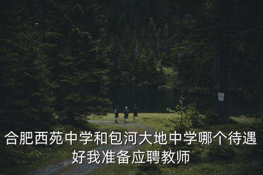 合肥西苑中學和包河大地中學哪個待遇好我準備應聘教師