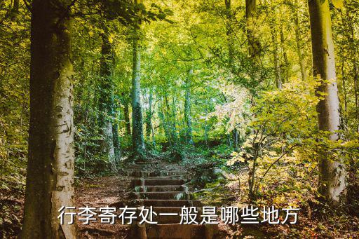 寄存行李，行李寄存處一般是哪些地方