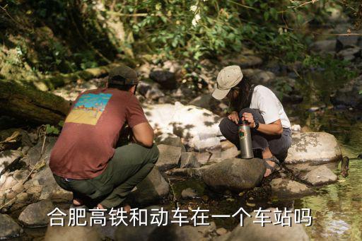 合肥站有高鐵嗎，請問下合肥高鐵和合肥火車站是在一起的嗎 還有杭州南高鐵和杭州