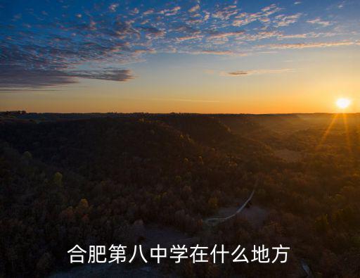 合肥第八中學(xué)在什么地方
