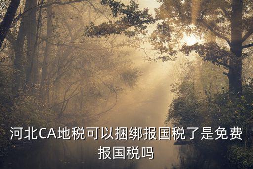 河北CA地稅可以捆綁報國稅了是免費報國稅嗎