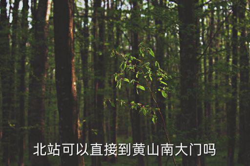 黃山南大門，黃山的四個大門分別在什么位置