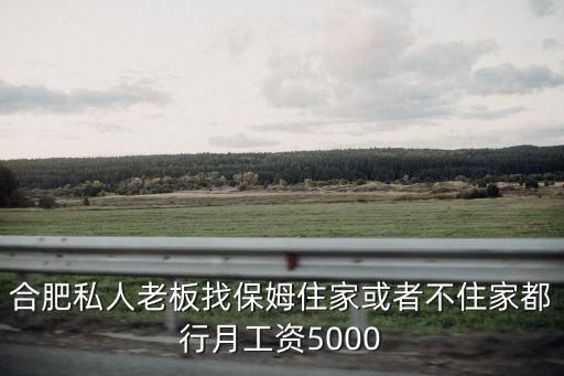 合肥私人老板找保姆住家或者不住家都行月工資5000