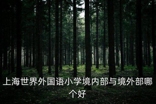 上海世界外國語小學(xué)境內(nèi)部與境外部哪個好