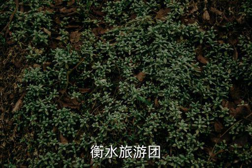 衡水旅游，衡水旅游業怎么樣