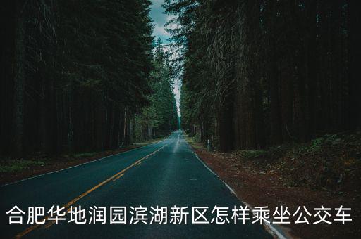 合肥華地潤園濱湖新區怎樣乘坐公交車