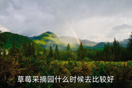 草莓采摘園什么時(shí)候去比較好