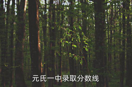 元氏一中錄取分數線