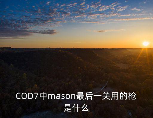 COD7中mason最后一關用的槍是什么