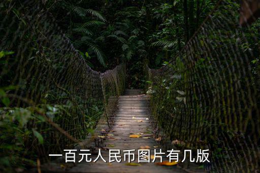 一百元人民幣圖片有幾版